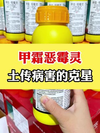 #甲霜恶霉灵 #三农 #病虫害防治 #抖音助农 #根腐病防治