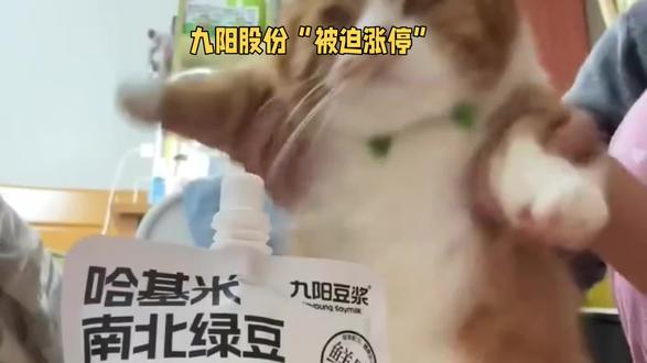 一杯豆浆带飞上市公司