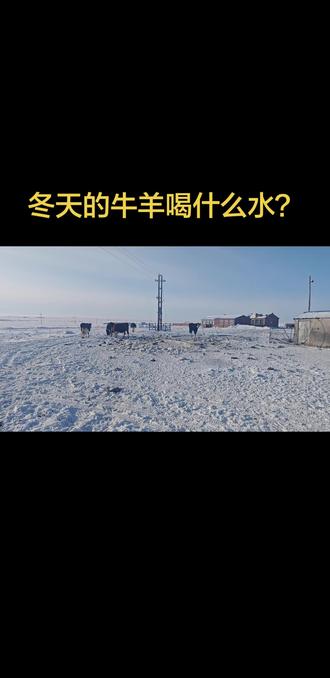 #养牛人的生活
#新农人计划 #畜牧业 #养牛致富 太阳能热风温水系统#太阳能热风供暖