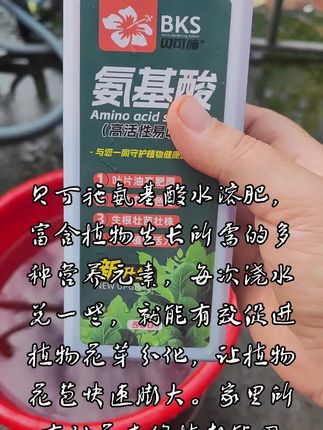 贝可施氨基酸水溶肥,富含植物生长所需的多种营养元素,每次浇水兑一些,就能有效促进植物花芽分化,让植物花苞快速膨大。家里所有的花卉绿植都能用!#氨基酸水溶肥 #爱生活爱养花 #养花小知识 #一份耕耘一份收获
