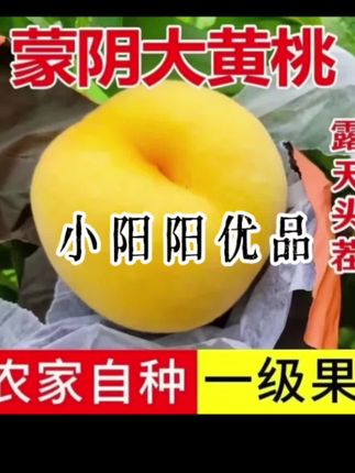 山东正宗大黄桃新鲜水果爆甜桃子黄金蜜桃红心黄桃锦绣黄桃一整箱#水果#黄桃