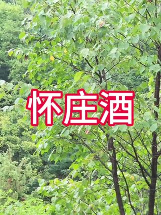 #在抖音入手的好东西 #好酒推荐 #高档大气上档次 #送礼佳品 #无限回购的宝藏单品