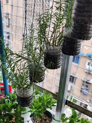 #园艺骨粉 #养花养根蔬菜果树磷钙肥 #促花生根 #养花必备