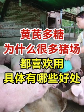 猪场#养殖#所有养猪人#养猪人必看#猪价