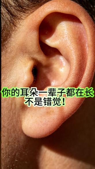 原来人的耳朵会一辈子生长👂 #冷知识 #耳朵 #正常人的耳朵是什么样的 #爱耳护耳