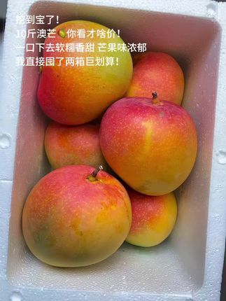 我真的是因为它便宜才买的,它可是澳芒啊!没想到居然这么好吃,连我小侄子都跟我抢着吃,喜欢吃芒果的姐妹闭眼冲!#新鲜应季水果 #芒果 #快来一起尝个鲜 #超便宜超划算 #皮薄肉厚
