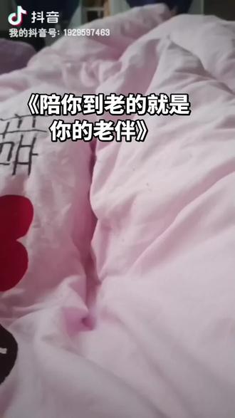 《陪你到最后的是你的老伴》