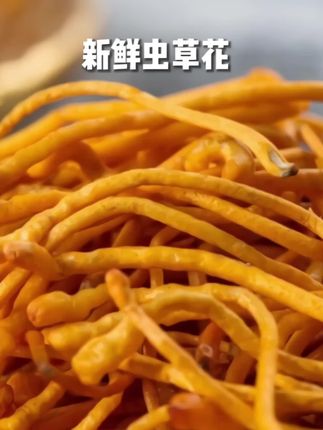 #虫草花 #新鲜采摘 #超级便宜划算 #美食分享 #煲汤食材
