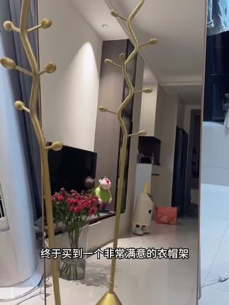 衣架子落地式挂衣架卧室家用客厅轻奢简易衣帽架立式挂包架衣服架