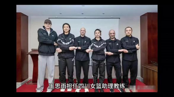 王思雨有可能担任助理教练