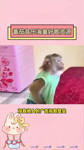 番茄音乐海量好歌资源#番茄音乐