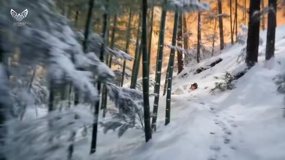 酱板鸭之《除汉奸扫国贼》版本!央视玩的越来越花了!一看就是00后高技术人才坐办公室了!