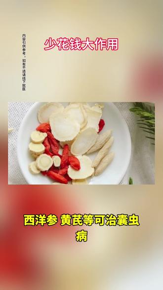 #上热门 西洋参黄芪等可治囊虫病#民间偏方#健康科普 #中医传承 #每日健康知识分享 #偏方引供参考@抖音小助手