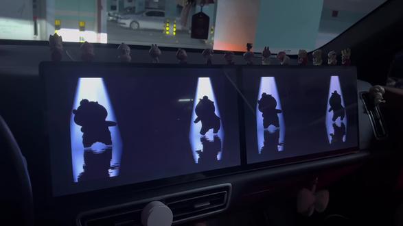 DJ一响~噜大王闪亮登场~#水豚噜噜