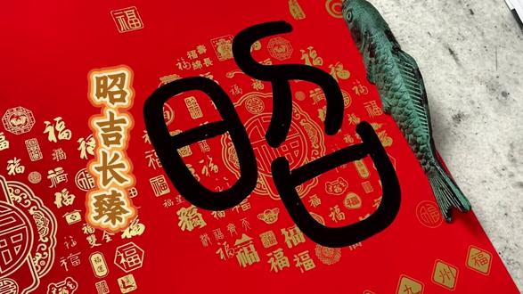 丙午马年春联横批:昭吉长臻。
原创内容,篆书春联写起来吧~
#篆书 #春联 #马年春联 #立春 #春节