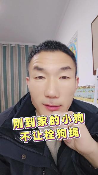 刚到家的小狗不让栓狗绳#狗狗训练日常 #新手养狗攻略 #狗狗不听话怎么办 #养狗经验分享 #狗狗栓绳 @周波讲狗 @老刘养狗 @周桥梁-宠物养护科普 @蔡老师-宠物科普