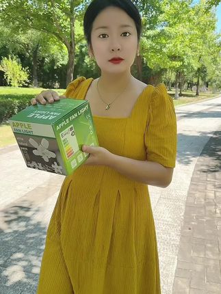 #风扇灯