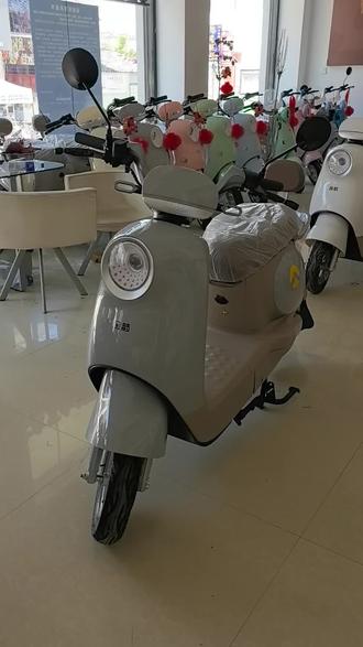 好骑不贵颜值在,金箭乐趣走一台#金箭电动车 #保山 #以旧换新