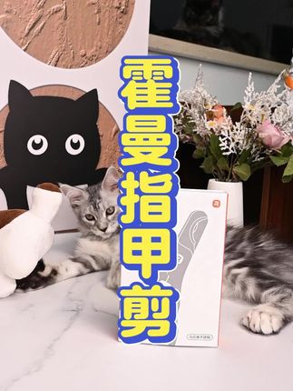 剪猫甲总挣扎?霍曼快剪超锋利,轻松搞定不费劲!#好物分享 #好物推荐 #宠物用品 #种草 #种草好物