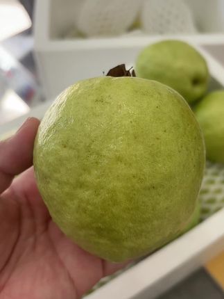 产地直接发货!5斤送3斤!#新鲜采摘 #现摘新鲜水果 #农产品