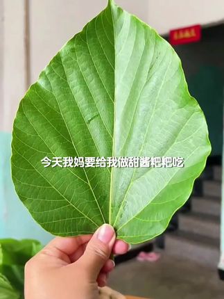 四川特产甜浆粑刮浆粑米粑粑软糯香甜入口细腻#北方指哪几个省 #林芝海拔多少 #祖国各地 #城市中心位置
