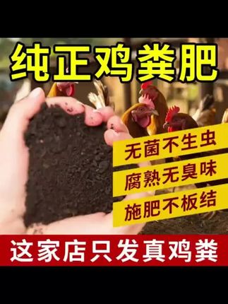 鸡粪是种菜的必须品#坚持不懈