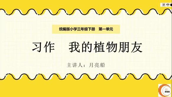孩子写植物只会“很绿很好看”?学会“五感侦探法”,把水仙花写成散文诗!