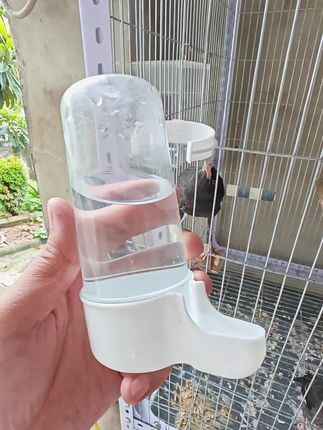 推荐一款鸟用饮水食盒#好物推荐🔥