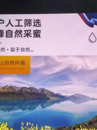 俄罗斯原装进口椴树蜜#蜂蜜