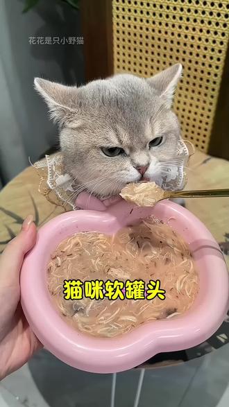 高汤鸡丝软罐头,有三种口味,每一种猫咪都爱,既能补充营养又能补水!#萌宠好物#猫咪软罐头 #猫罐头#营养健康 #猫饭