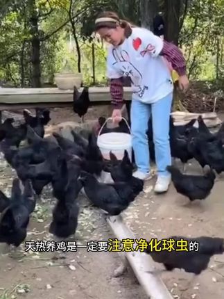 兽用球虫清球虫家禽通用红色番茄粪便鸡鸭鹅狗兔通用#兽用球虫清 #养殖技术 #养殖场用品#球虫药 #家禽通用