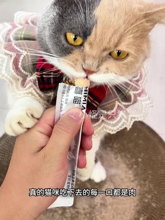 这种品质的猫条,刷到你就赶紧薅!#猫条 #猫条推荐 #养猫人 #猫咪零食 #宠物零食