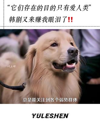 这台词说得真好啊!“一个连人类都照顾不好的社会,又怎么能顾及动物的生命。”还是那句话:韩国你最该申遗的是韩剧!!
#韩剧#郑敬淏#公益律师#宠物#情感