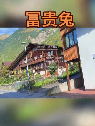 #75年的兔 #87年的兔 #63年的兔 #生肖兔 #属兔