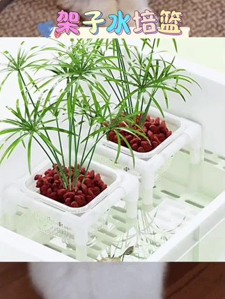 适用于乌龟缸、鱼缸等场景。助力打造自然造景。为水族环境增添绿意。帮助植物根系健康生长。支架设计,使用方便。安装便捷,适配多种环境。细节处理用心。#水培植物定植篮 #鱼缸造景 #龟缸水族箱装饰 #水草种植辅助