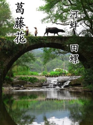 乡村野趣 摸河蚌捡螺蛳,采葛藤花。大自然的馈赠,乡野美味简单治愈。#乡野美食 #新农人计划2025