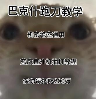 请点击输入文字#三角洲行动 #猎奇