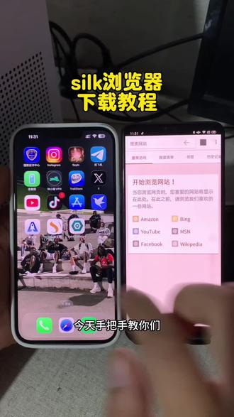 《墨花宝库》silk浏览器观看silk步骤 silk浏览器下载 silk浏览器怎么进编码 silk浏览器是干嘛的 silk浏览器怎么进 #silk浏览器 #下载教程 #抖音创作者大会