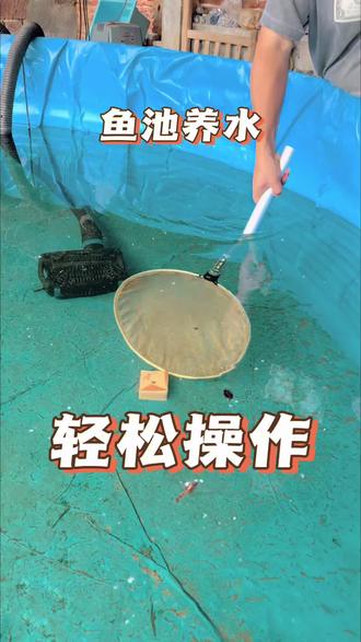 鱼池养水轻松操作 #鱼池水质净化 #抖音618好物节
一个不用加硝化细菌的鱼池养护水质新方式
#锦鲤 #鱼池养锦鲤的技巧和方法 #锦鲤怎么养才能养好