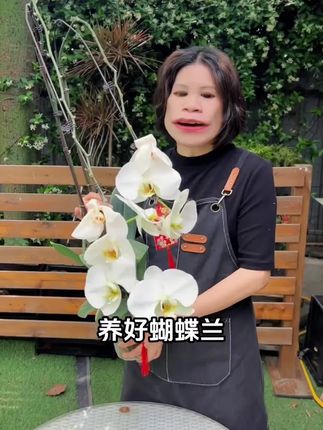 花伴水优选水苔蝴蝶兰兰花换盆介质水苔水草透气多肉植物保湿#优质干水苔 #优选水苔 #蝴蝶兰水苔 #多肉植物保湿 #水苔推荐