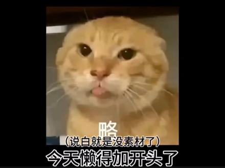 #65式军装 #科普 下期是飞行员和坦克兵 🌹🌹截图致歉@匿名买家 @历史客