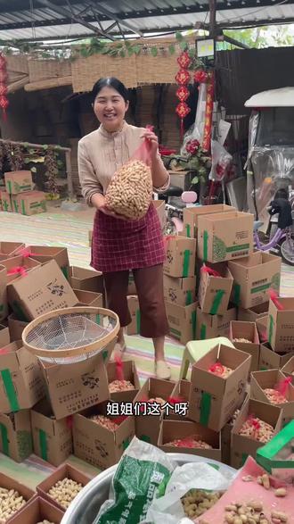 既能煲汤煮粥又能生吃的红皮花生,还可以当种子哦! #四粒红花生 #带壳干花生 #2025年新花生 #粒粒精选颗颗饱满