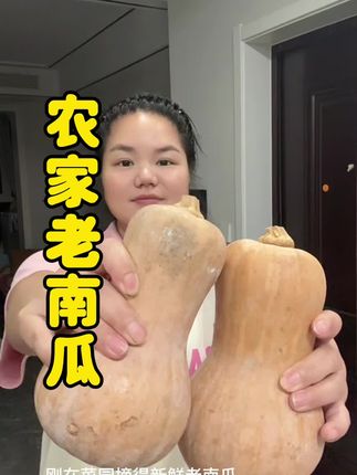 农家老南瓜,适合宝宝辅食,炸南瓜汁,清炒,南瓜饼,糊南瓜都叮蹦到位!#粉蛮腰 #老南瓜 #优质农产品
