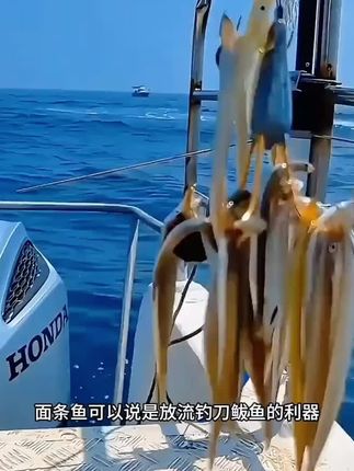 刀鲅鱼见它就疯咬!面条鱼铁板搭配防跑鱼钩组,再大巨物轻松锁喉!#海钓船钓#海钓路亚#海钓慢摇抽铁板