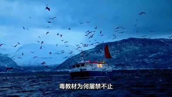 毒教材横行,四大深层原因剖析