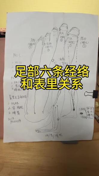 #经络 足部六经络(三阴三阳)及表里关系