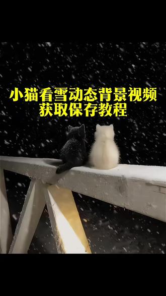 你要的小猫看雪动态背景视频保存教程来了#朋友圈动态背景 #小猫下雪背景图动态 #黑猫白猫 #朋友圈 #动态背景视频