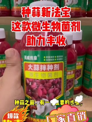 大蒜拌种剂#种大蒜的正确方法 #大蒜病虫害防治#根腐干尖黄叶就用它#种好大蒜的技巧#增产增收效果好