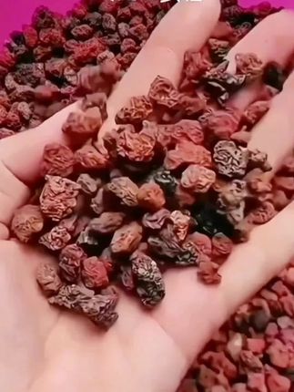 性价比超高的火山石来喽~ #火山石 #火山石颗粒 #鱼缸过滤 #鱼缸里的大自然 #铺面石