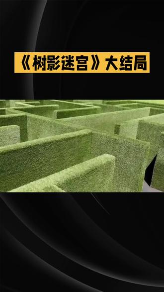 《树影迷宫》大结局反转引热议!